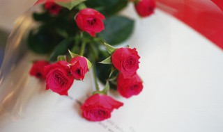 三朵玫瑰花代表的花语是什么意思 三朵玫瑰花代表的花语