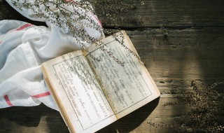 关于重阳节的诗句古诗 关于重阳节的诗句有哪些