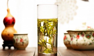 黄金芽茶有什么好处 黄金芽茶的作用是什么