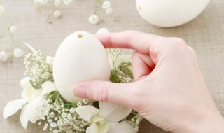 孕妇吃鹅蛋对胎儿有什么好处 孕妇吃鹅蛋的好处