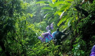 去热带雨林旅游探险需要带什么 关于去热带雨林旅游探险需要带什么