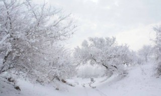 下里巴人和阳春白雪各是什么意思 下里巴人和阳春白雪什么意思