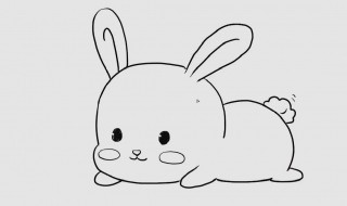 兔子怎么画 兔子的简单画法
