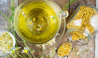 胎菊和枸杞泡茶的功效正确喝法 胎菊和枸杞的饮用方法