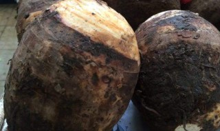 潮州山哥南瓜芋头的做法 大家可以了解一下