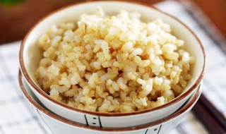 豆糙米饭的做法 黄豆糙米饭 怎么做好吃