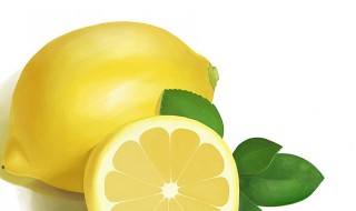 柠檬怎么画 柠檬的画法