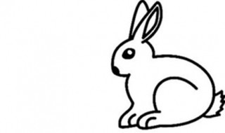 小兔子怎么画简单漂亮 步骤是什么