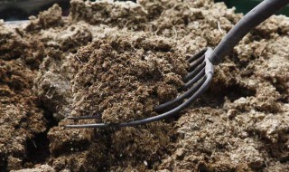 怎么发酵绿肥 堆绿肥的方法