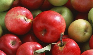 哪些水果适合减肥吃 适合减肥吃的水果推荐