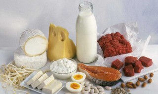 含高蛋白的食物有哪些 哪些食物含高蛋白