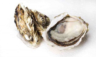 牡蛎有什么作用 牡蛎的好处