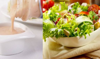 蔬菜沙拉用什么沙拉酱 蔬菜沙拉需要用到哪些沙拉酱