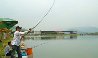 上鱼抛竿方法 专业且快速上鱼的抛竿方法