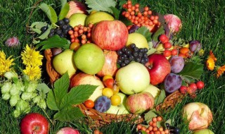 吃什么水果对胃好 养胃的水果介绍