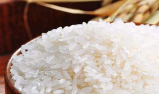 米防虫怎么做 米防虫做法