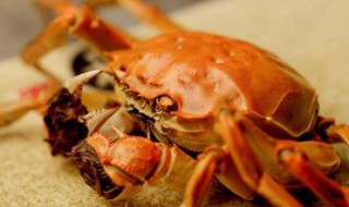 冻螃蟹制作方法 可以怎么吃呢