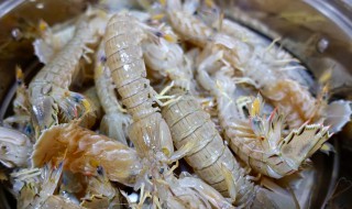 皮皮虾怎么清洗和保存 皮皮虾清洗保存方法介绍