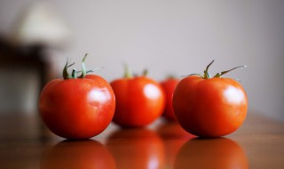 番茄怎样做才能好吃 番茄好吃简单的做法