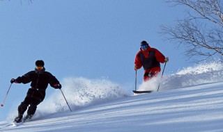 滑雪的方法 滑雪初学者的技巧