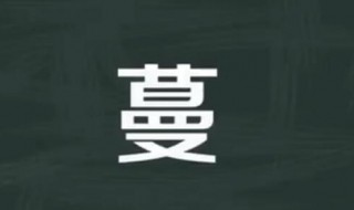 蔓多音字组词 蔓多音字组词有哪些