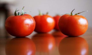 如何做番茄汤 番茄汤的做法