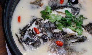 石头鱼烹饪方法 石头鱼的做法