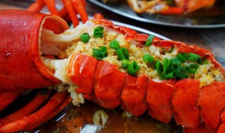 澳洲龙虾做法 澳洲龙虾的具体做法