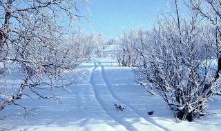 形容雪景的优美句子 描写雪景的优美句子