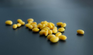 小朋友种黄豆的方法 黄豆的营养价值