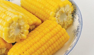 常吃玉米的坏处 常吃玉米的坏处是什么