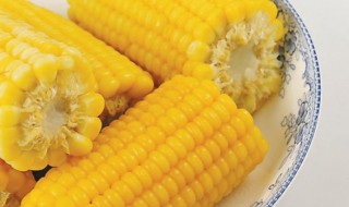 玉米一天可以吃几根 玉米一天吃几根好