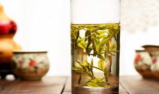 白茶储存方法 白茶为什么越存放越有价值