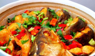 砂锅焗草鱼的方法 砂锅焗鱼块的做法步骤