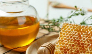 蜂蜜花粉的功效与作用及食用方法 喝蜂蜜花粉水最佳时间
