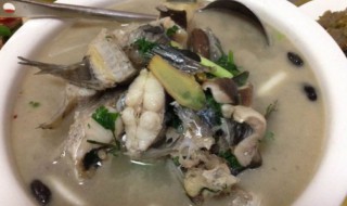 白鲶鱼怎么做汤 怎么做简单又好喝