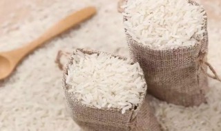 米有什么作用 米作用介绍