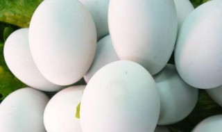 鸭蛋的营养价值及功效 鸭蛋的营养价值及功效是什么