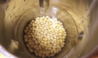 榨豆浆的做法 榨豆浆的制作方法