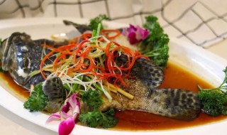清蒸石斑鱼是哪个地方的菜系名菜 清蒸石斑鱼做法介绍