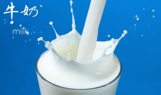 牛奶的英文怎么写 牛奶介绍