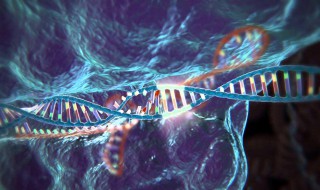 什么是标记基因 到底什么是标记基因