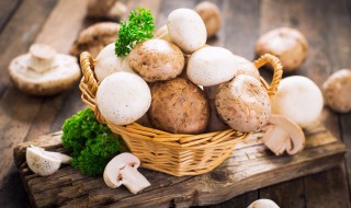 蘑菇煮多久 蘑菇一般煮多久