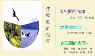 生物圈包含哪些范围 生物圈的范围