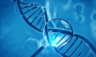 什么是等位基因非等位基因 关于什么是等位基因非等位基因