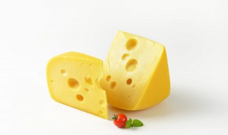 奶酪和芝士有什么区别 奶酪和芝士有区别吗