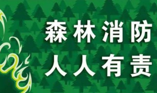 森林防火黑板报内容 有关森林防火黑板报内容