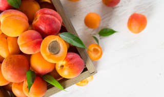 高蛋白水果有哪些水果 高蛋白水果介绍