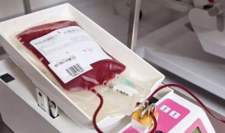 献血后注意事项及禁忌 献血后注意哪些