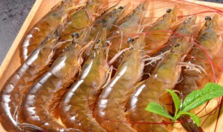 番茄虾的做法 关于番茄虾的做法介绍
